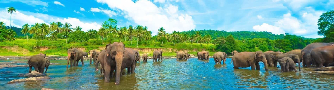 SRILANKA ATTRACTIONS.jpg